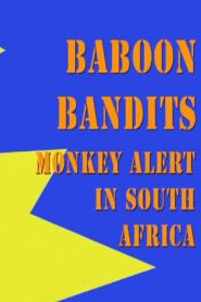 Baboon Bandits: Monkey Alert in South Africa 2011 on netflix