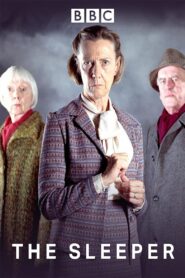 The Sleeper 2000 on netflix