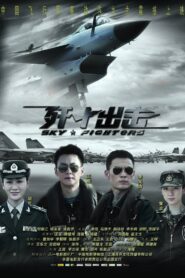 Sky Fighters 2011 on netflix