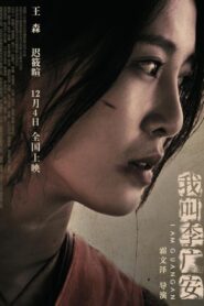 我叫李广安 2020 on netflix