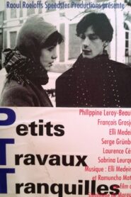 Petits travaux tranquilles 1993 on netflix
