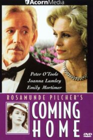 Coming Home 1998 on netflix