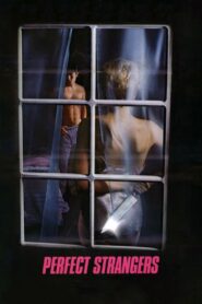 Perfect Strangers 1984 on netflix