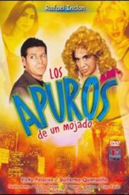 Los apuros de un mojado 1999 on netflix