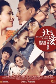 Beijing Love Story 2014 on netflix