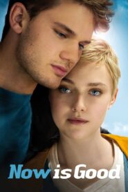 Now Is Good 2012 on netflix