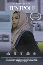 Tentpole 2017 on netflix