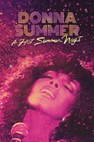 A Hot Summer Night with Donna 1983 on netflix