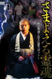 Wandering Souls: Exploring Haunted Spots with Oda Nobunaga 1999 on netflix