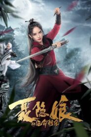 The Assassination of Nie Yinniang 2022 on netflix