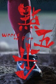 Weeds on Fire 2016 on netflix