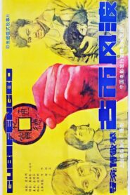 古币风波 1987 on netflix