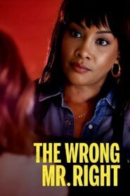 The Wrong Mr. Right 2021 on netflix