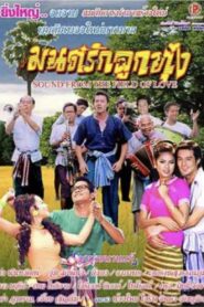 The Field of Love 2005 on netflix