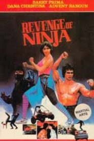 Revenge of the Ninja 1984 on netflix