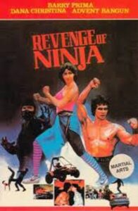 Revenge of the Ninja 1984 on netflix