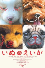 All About My Dog 2005 on netflix