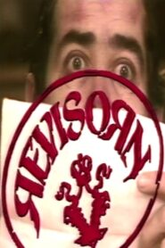 Revisorn 1990 on netflix
