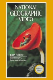 Rain Forest 1983 on netflix