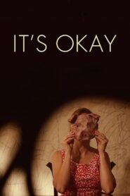 It’s Okay 2014 on netflix