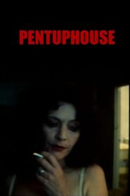 Pentuphouse 1998 on netflix