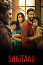 Shaitaan 2024 on netflix