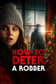 How to Deter a Robber 2021 on netflix