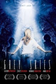 Grey Skies 2010 on netflix