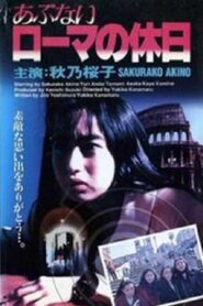 Dangerous Roman Holiday 1993 on netflix