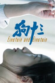 Einstein and Einstein 2018 on netflix