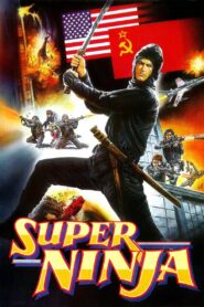 The Super Ninja 1984 on netflix