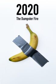2020: The Dumpster Fire 2021 on netflix
