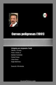 Curvas peligrosas 1991 on netflix