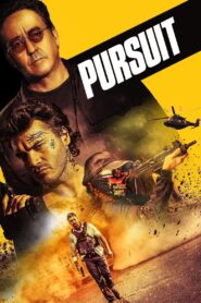 Pursuit 2022 on netflix