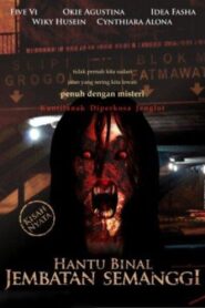 The Wanton Ghost of Semanggi Bridge 2009 on netflix