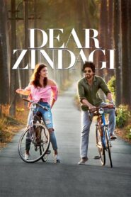 Dear Zindagi 2016 on netflix