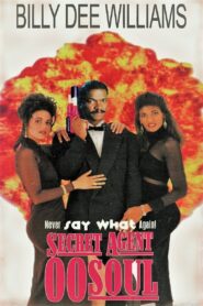 Secret Agent 00 Soul 1990 on netflix