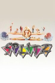 Splitz 1984 on netflix