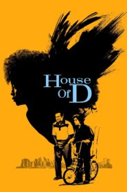 House of D 2004 on netflix