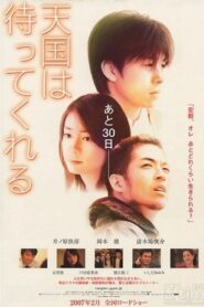 Heaven Can Wait. Maybe… 2007 on netflix