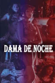 Dama de Noche 1998 on netflix