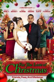 For the Love of Christmas 2022 on netflix