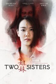 Two Sisters 2019 on netflix