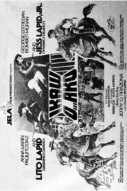 Ikaw o ako 1981 on netflix