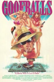 Goofballs 1987 on netflix
