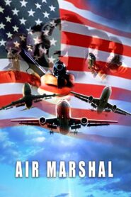Air Marshal 2003 on netflix