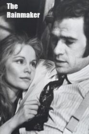 The Rainmaker 1982 on netflix
