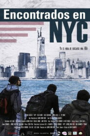 Encontrados en NYC 2013 on netflix