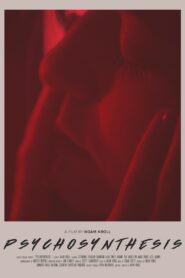 Psychosynthesis 2020 on netflix