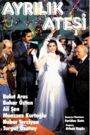 Ayrılık Ateşi 1986 on netflix